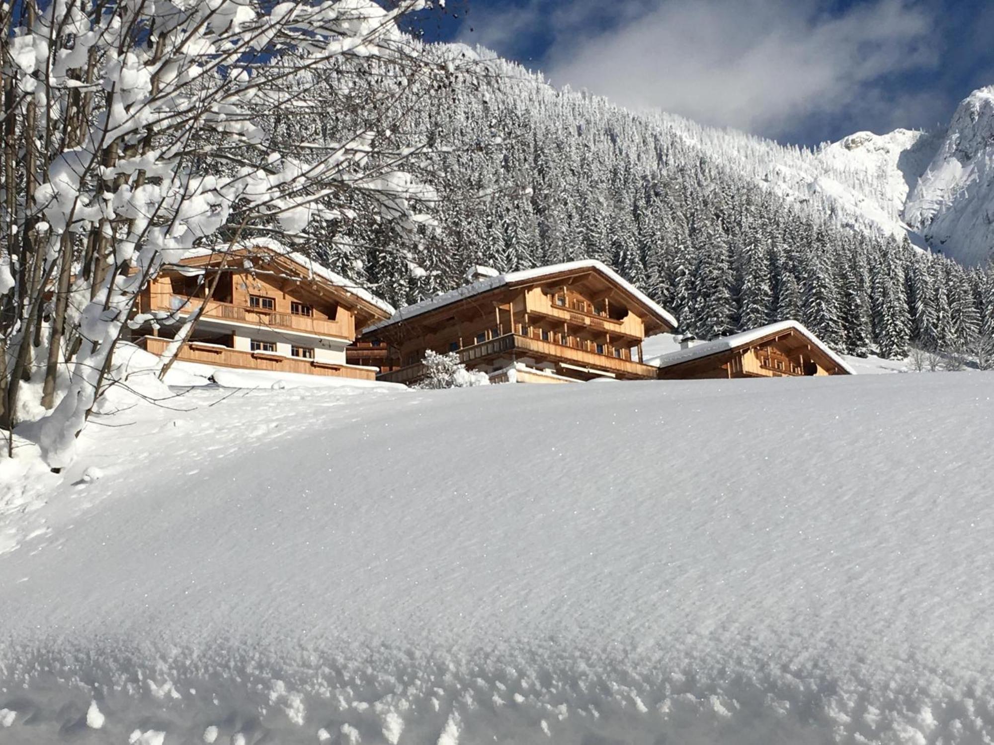 شقة Haus Fernwald Top Nynke ألباخ المظهر الخارجي الصورة